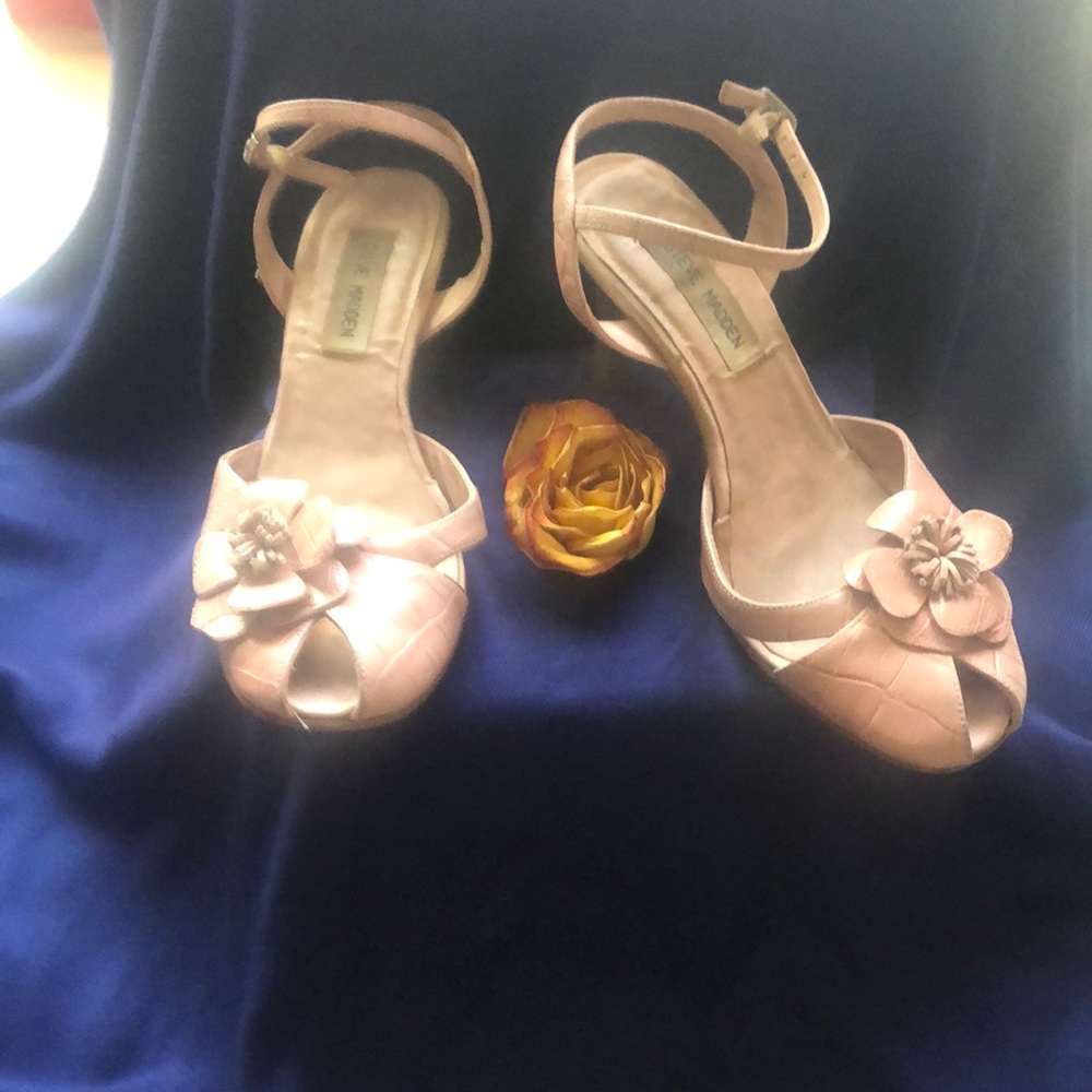 Steve Madden shoes